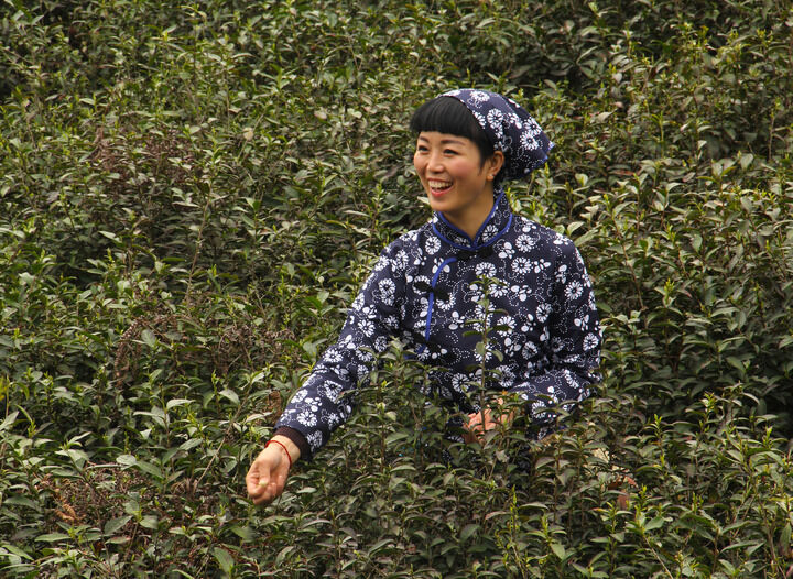 伊人app淫直播永久